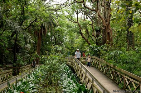 Taipei Botanical Gardens