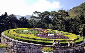 yangmingshan