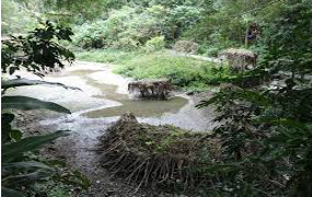 zhishan-ecological-garden